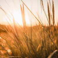 Lesen LED Bilder Bewertungen